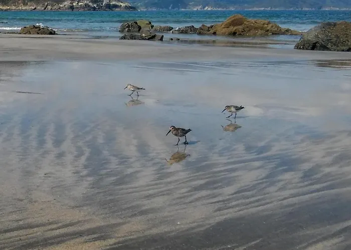 A Pie De Playa דירה פורטו דה אספסנטה